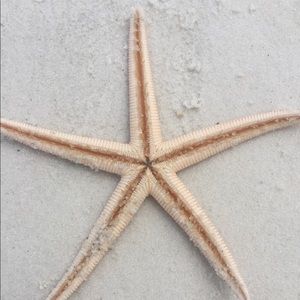 Meet your Posher, Keri